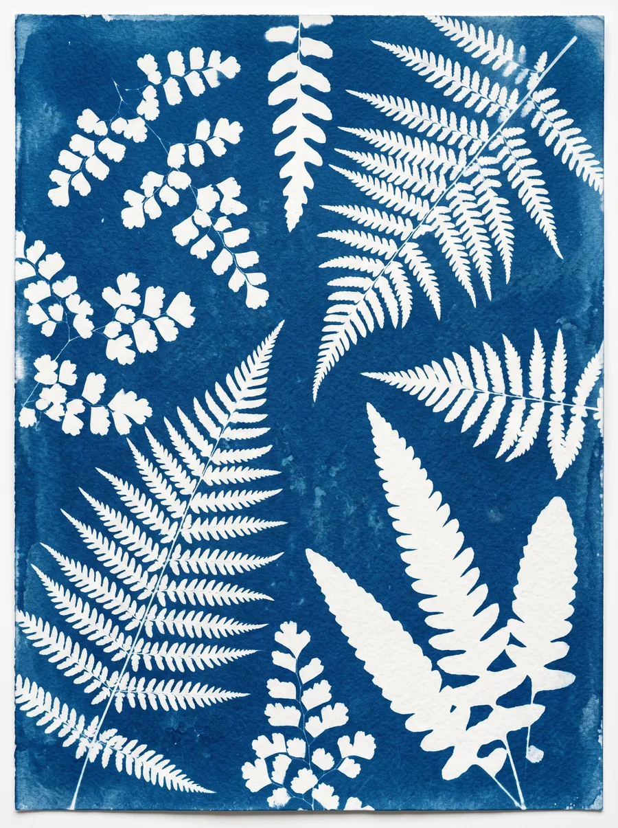 Elin Marklund, Cyanotypie-Wald